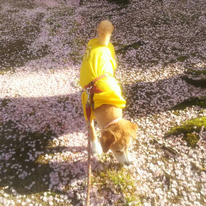 4f95705b dc45 4b3c a8bc 5769a17d1402