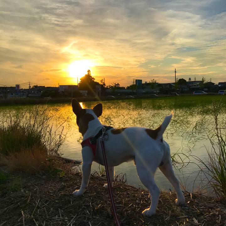 4f95919e fbbd 4fac 830c 07876ac779a6