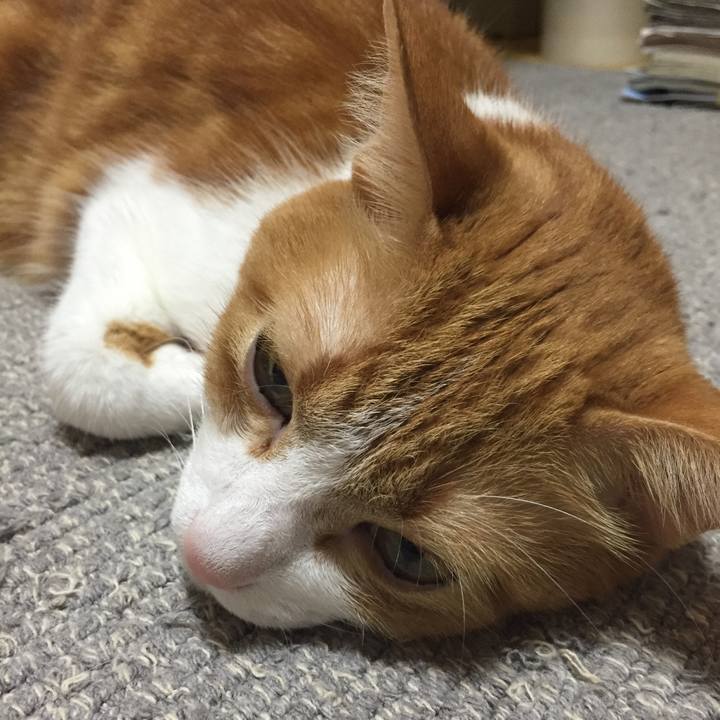 4f960d28 5b37 4505 af29 9a7c51d1e6ff