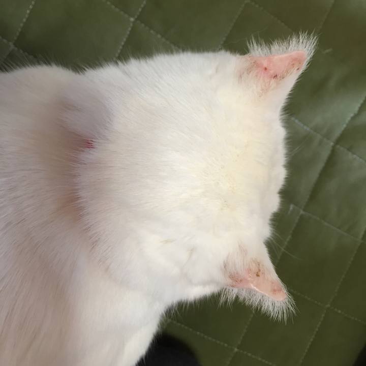 4f96193e 6578 4ad6 b775 ddb791fb796f