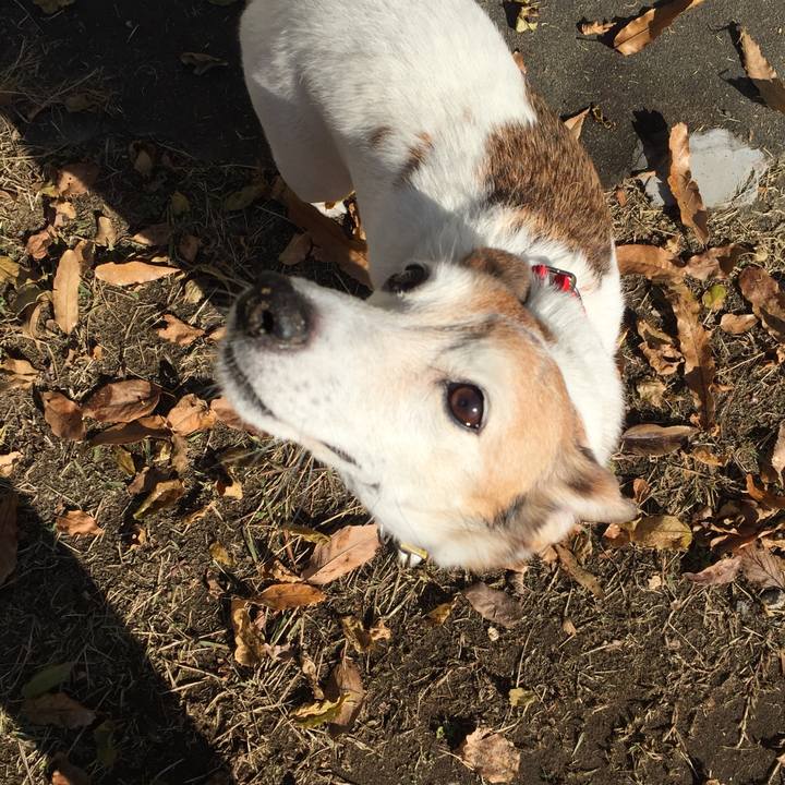 4f96cc4d 00e3 4f80 aab0 78f95d86d440