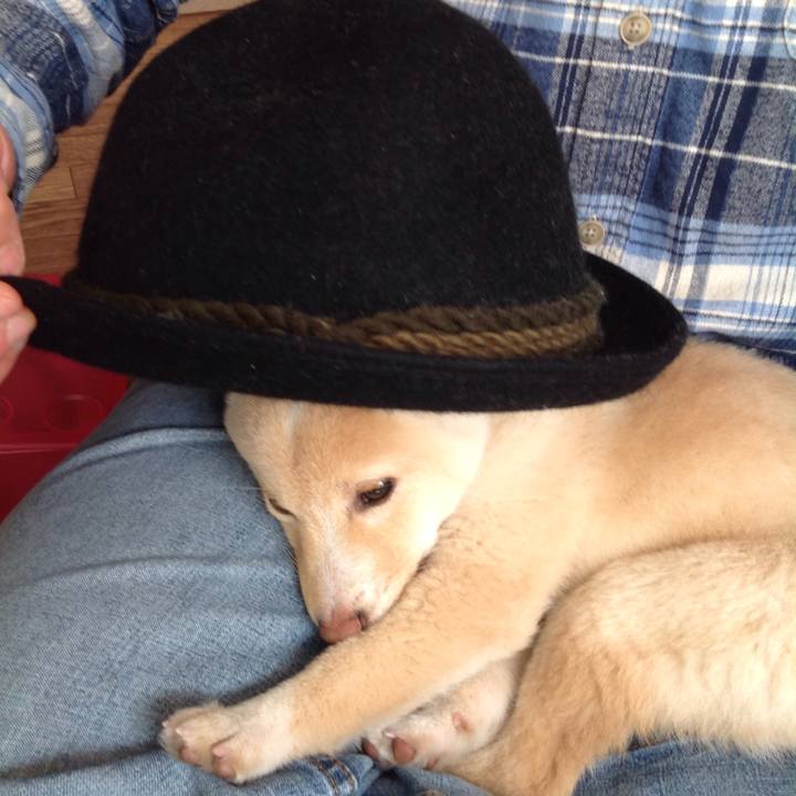 4f96ce39 8d75 41df bfd7 9074a2b103cc