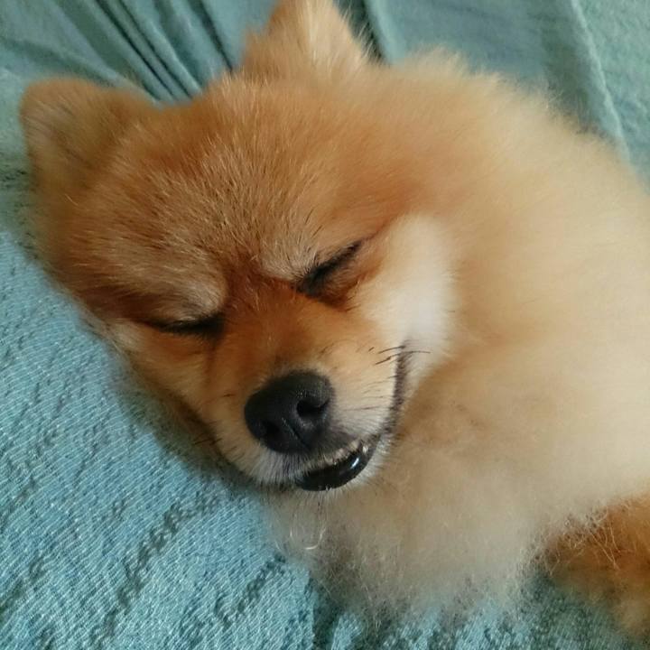 4f975cdb 3dce 451b 8463 e68828de239c