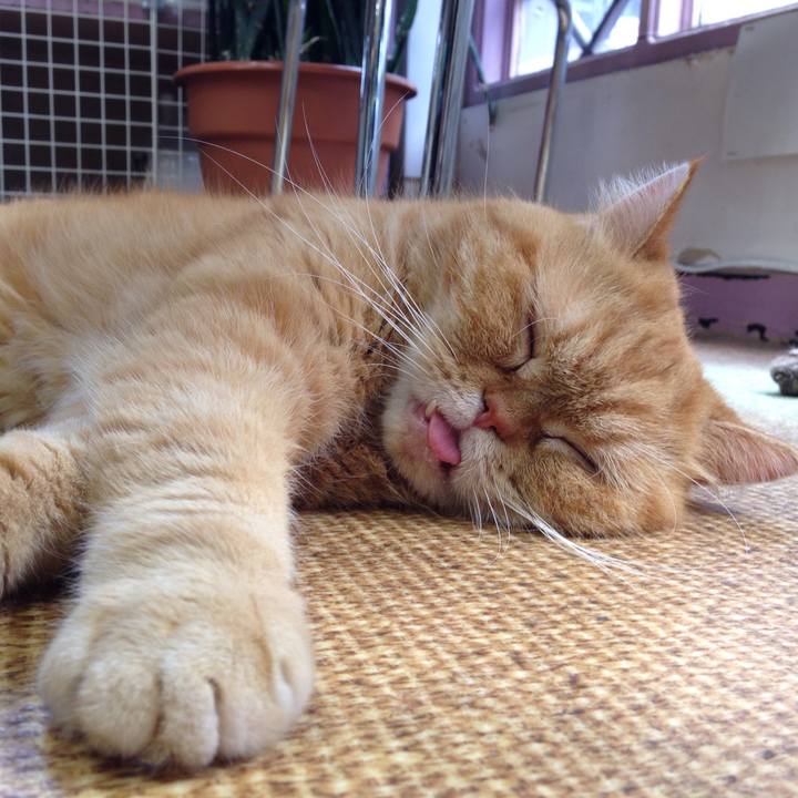 4f97f070 7c3c 47b7 887e f870869824b2