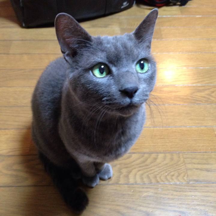 4f98389e 9cfc 4ddc b74b 5300b95ce6c0