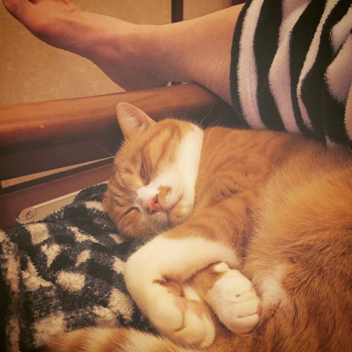 4f98dd51 fd3f 4e9a a31a 9a1d4533e1e2