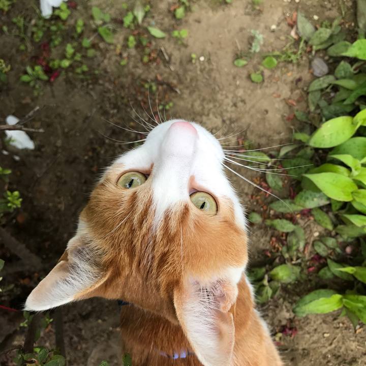 4f99c036 b2da 4d2a 8319 fc4df8860d59