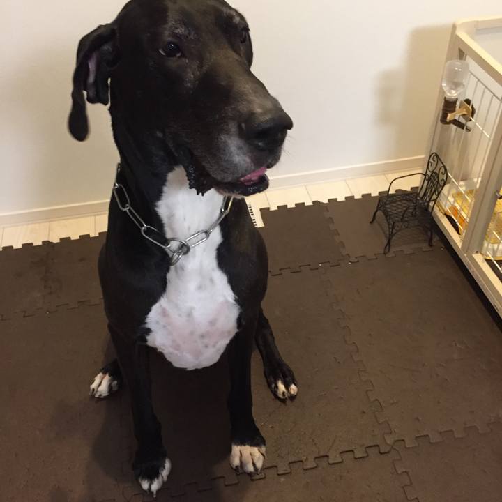 4f99ef96 e59c 422a bd31 a330f84949f4