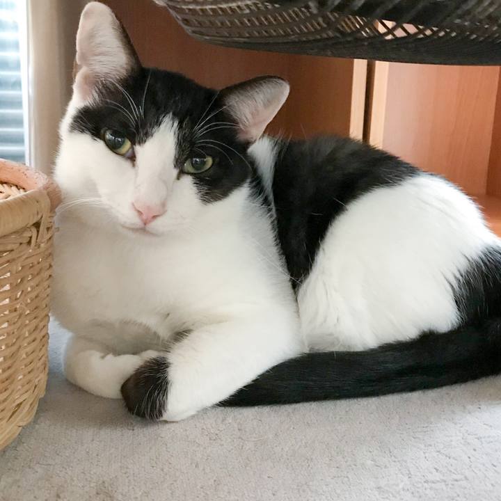 4f9a43f6 e1ec 4f42 a863 501e40b57ad2