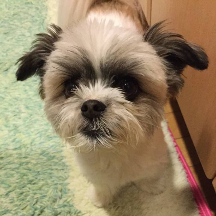 4f9ab44a bd54 4a54 a6ed 2b2a22916b71