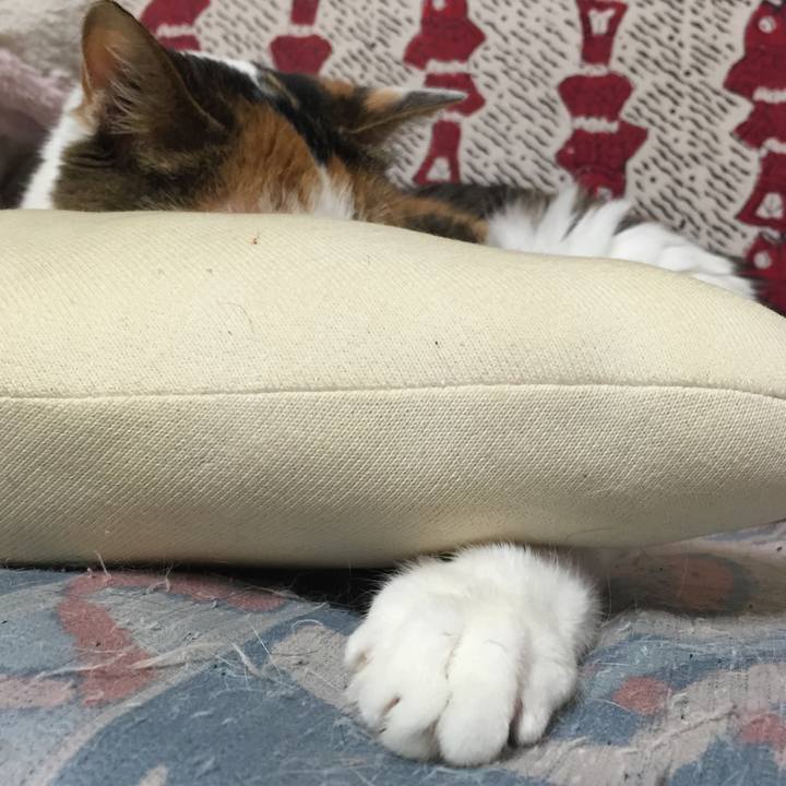 4f9c40f5 38d7 42ad b111 4266d822dd3f