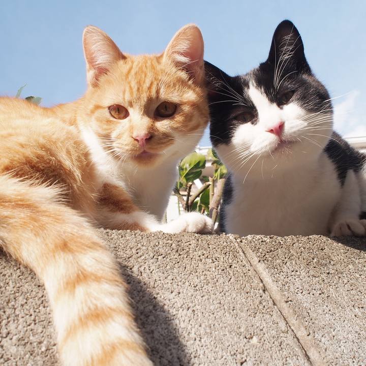 4f9c9025 9fb0 4b5f af2d 2b36d901dbde