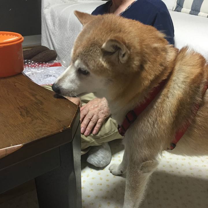 4f9dc6f7 d27a 4f7f a4ba 7c8bb2412db5