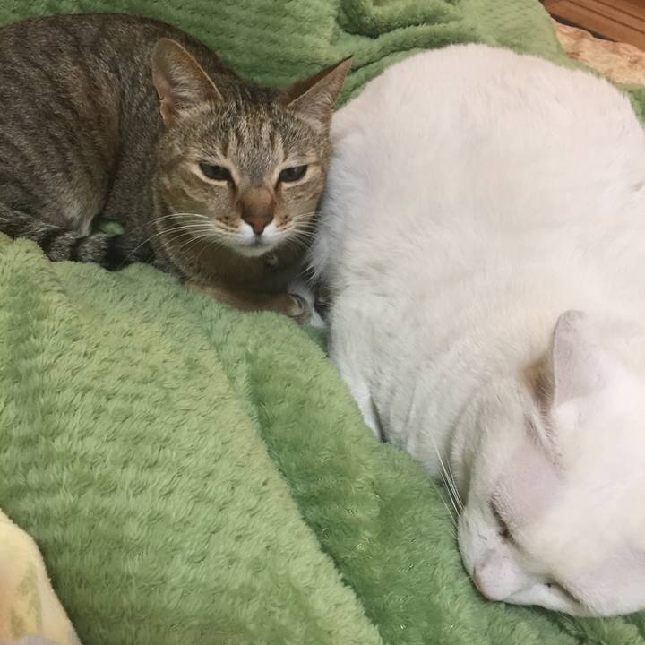 4f9de8db 41ee 46cf 90b2 957e7af3e6bd