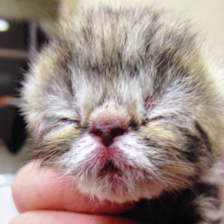 4f9dfc3f 47c7 4844 b2c4 2609b0776416