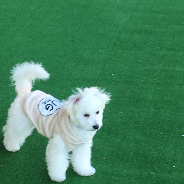 4f9e1f78 e9dc 4e0b aa77 926dff5f0ace