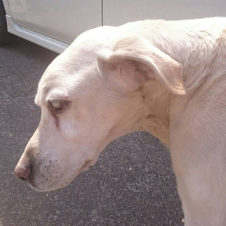 4f9f2324 c565 4483 804d a62330fab229