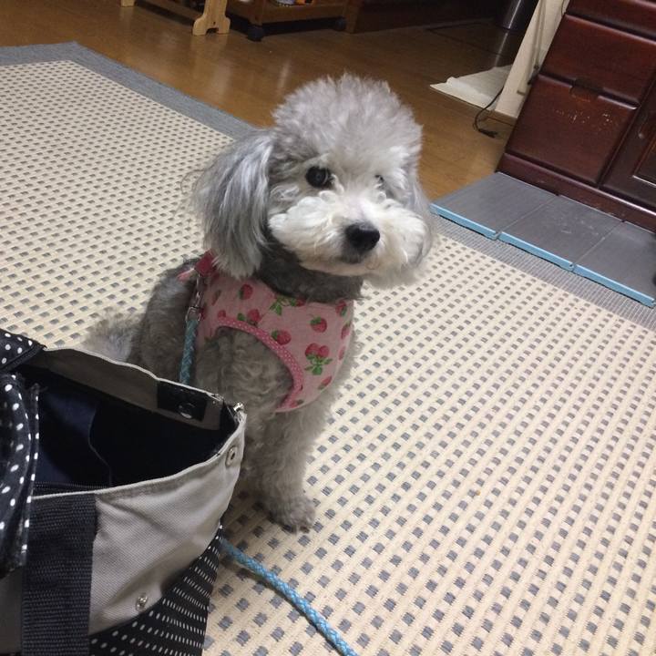 4f9fa4d1 78d4 4584 bc9a a5e241db9ee4