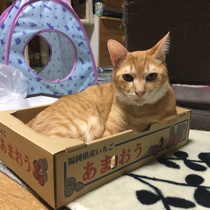 4f9fa782 67b8 4d60 8969 e09f2185f16e