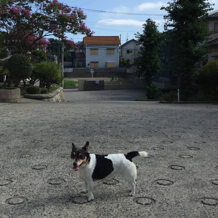 4fa0b0e9 8f0c 4056 87c8 5383cff676d5