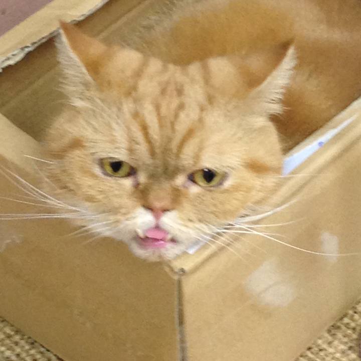 4fa0d57b 98b8 452f b00c f2bd66f24264