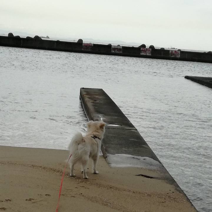 4fa1104e 22d7 466c 9804 958d71a5bad6