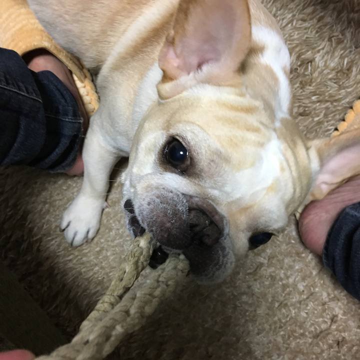 4fa13f36 35e0 4be0 93e7 e32aa0a9ac02