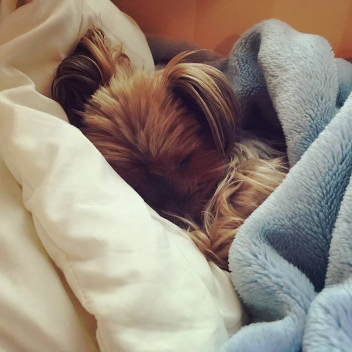 4fa15198 8e20 425e 9a2d db754e63a3ae