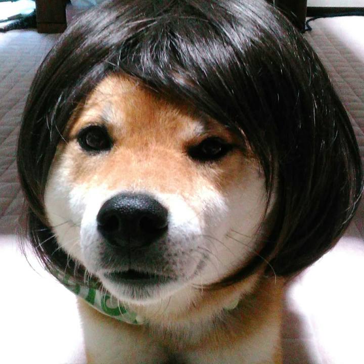 4fa18a6f 3141 4632 8a82 e1c937808ef6