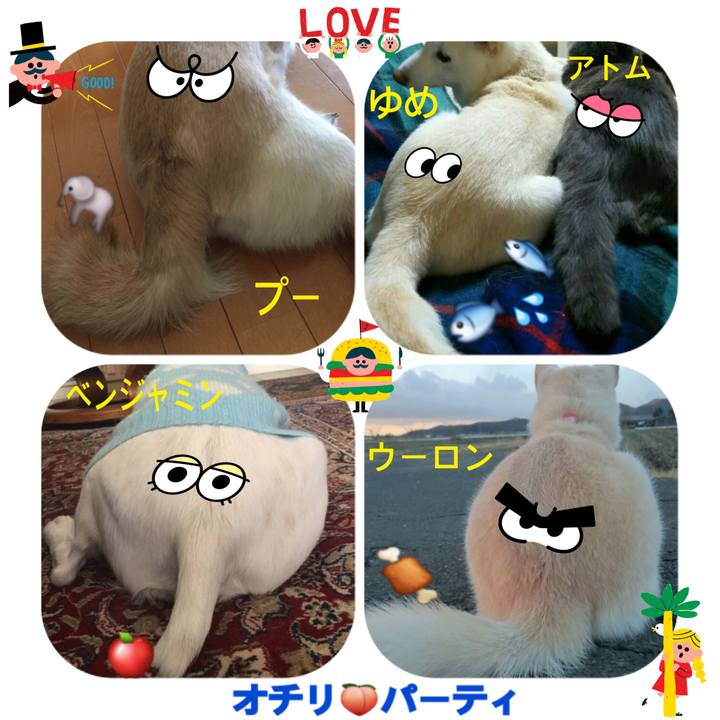 4fa1b4e3 efa7 4afa 892c d79534f83ed6