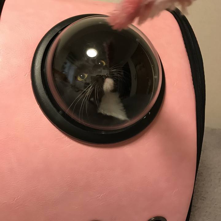 4fa1b5ec f0df 4f71 ae94 280888576b4c