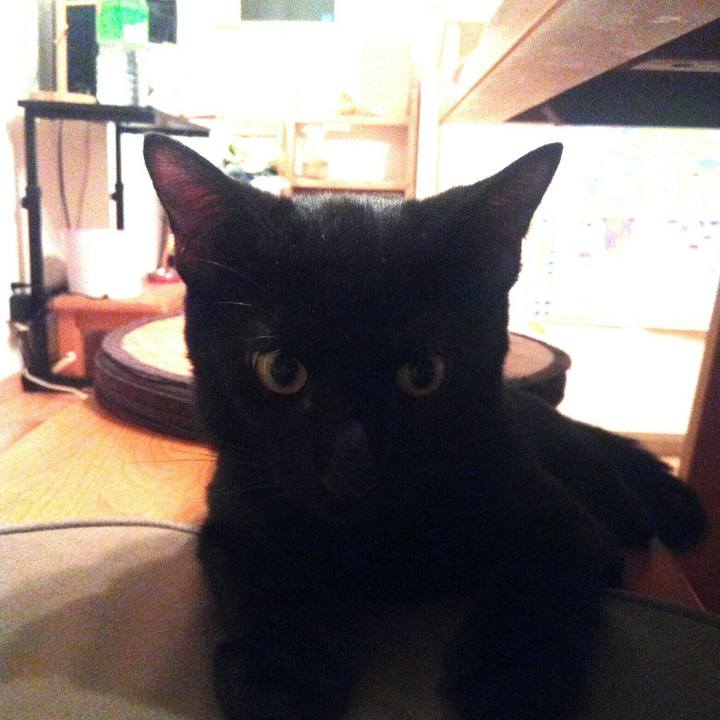 4fa1c644 7c26 44a1 8a2c feaeb3a5da30