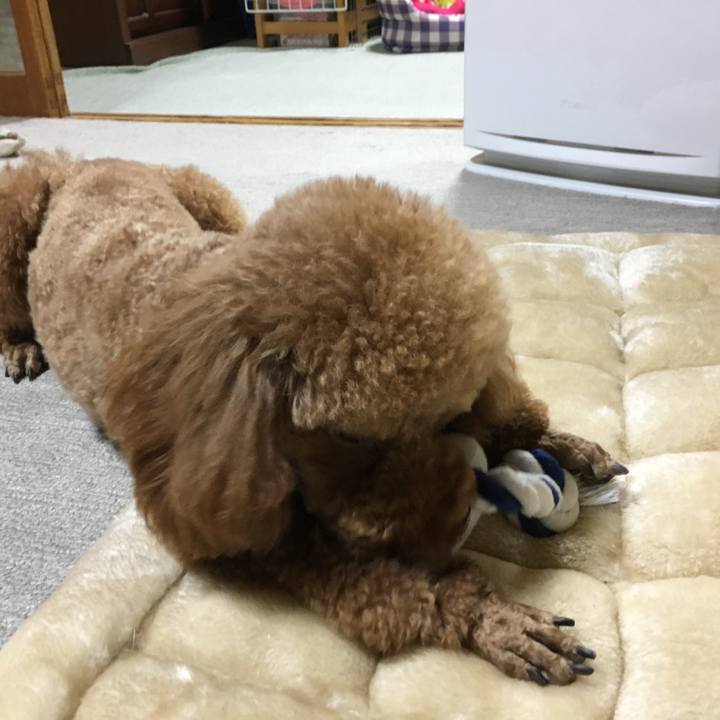 4fa1eef2 6e80 4368 ba5f d1936c7d61cf