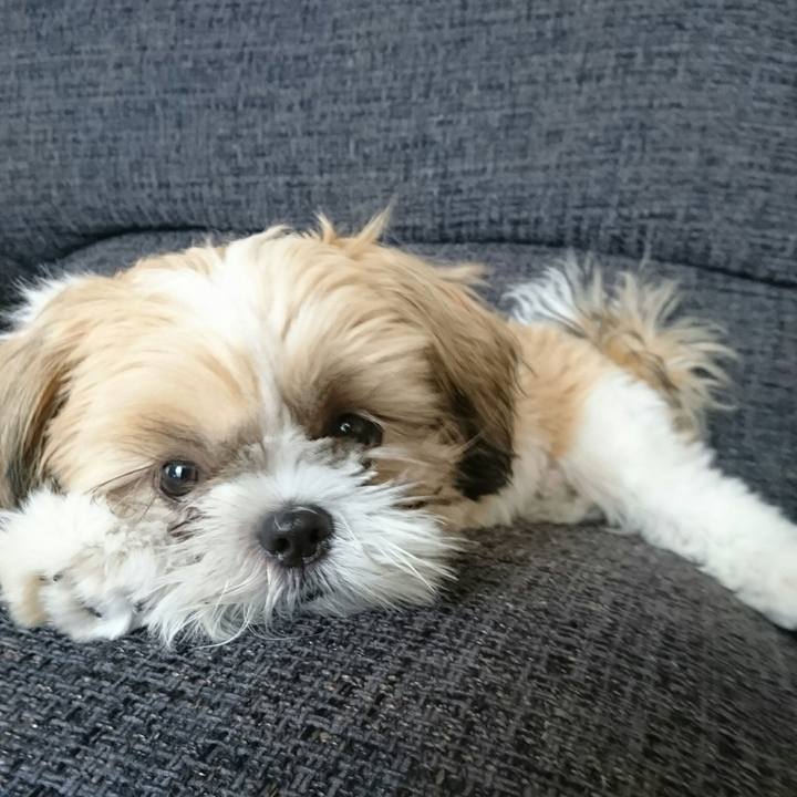 4fa25c69 a8eb 4d61 8142 68a9bb1a5e7a