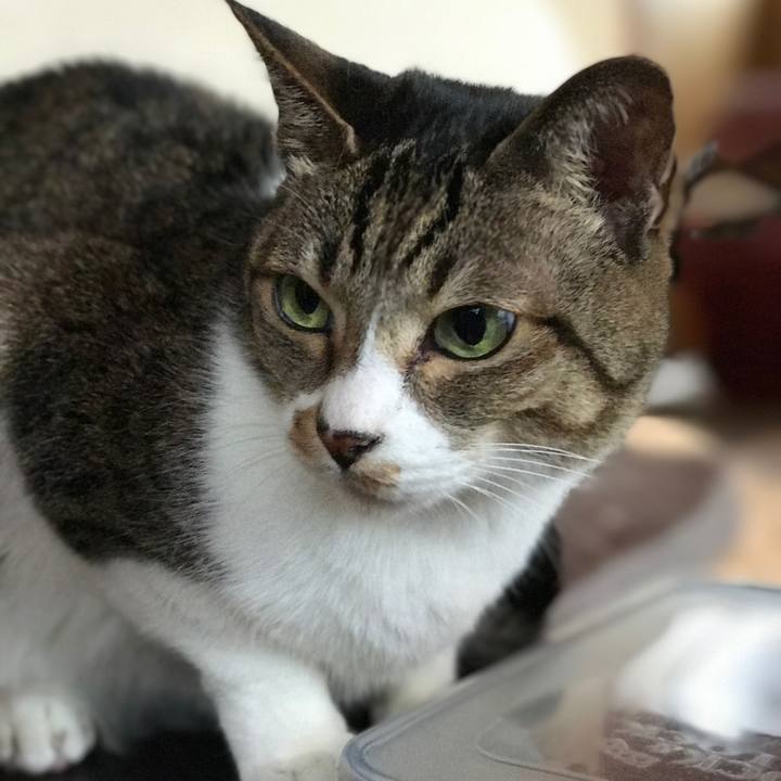 4fa26ee4 4b31 4f7d 926a f8d1b901d602