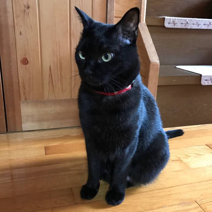 4fa2cbf7 7323 46bc ba5f f4451a515e93