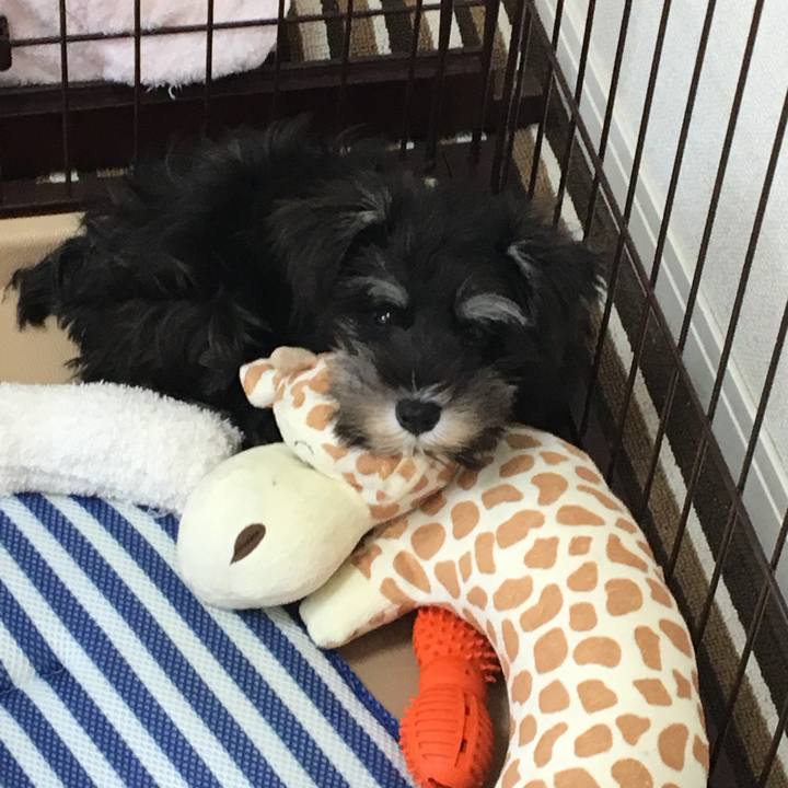 4fa2d5c1 9f09 48b7 8a2f 16fa5596e023