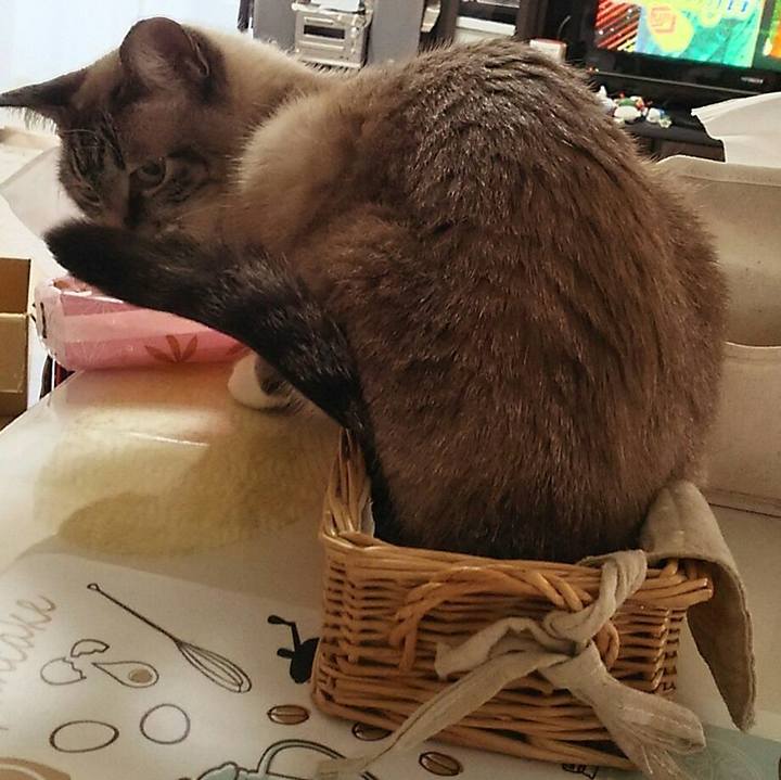 4fa34111 f60c 421c a68e 0b5f150db0d3