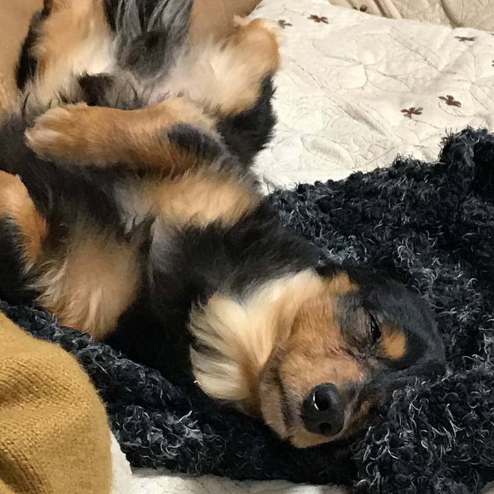 4fa3a0d0 788e 427f 8e45 64b1da7d9331