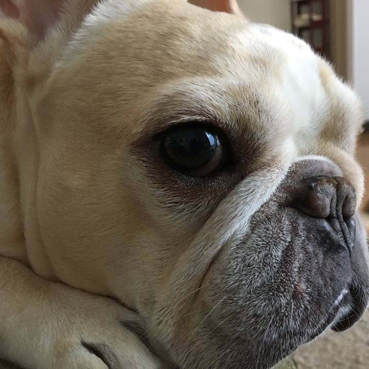 4fa3cae2 364a 4367 aabf 28b16d17b6c1