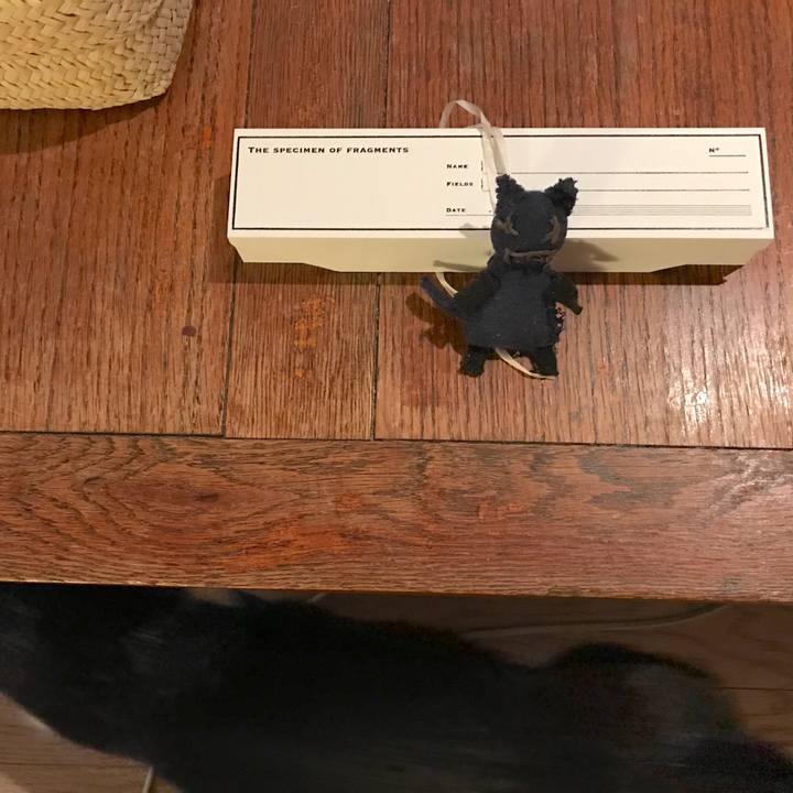 4fa412f4 8cfe 4e96 b7f4 834033aeab5d