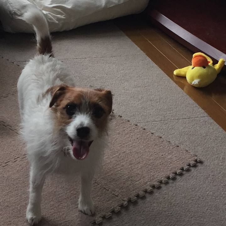 4fa43831 9067 41fb 9b63 95a26ac5ce73