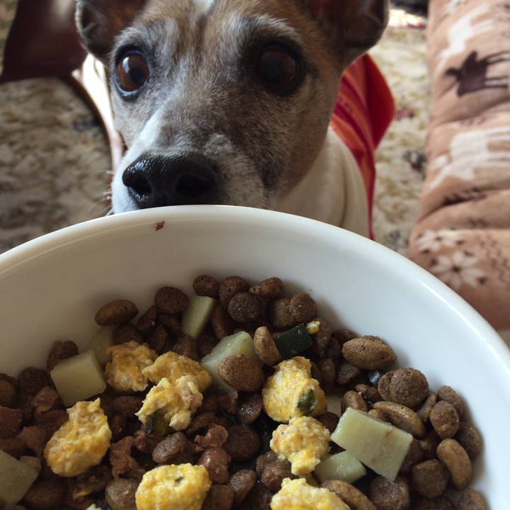 4fa4763a d1e3 45ab ace8 9ec75260bb1f