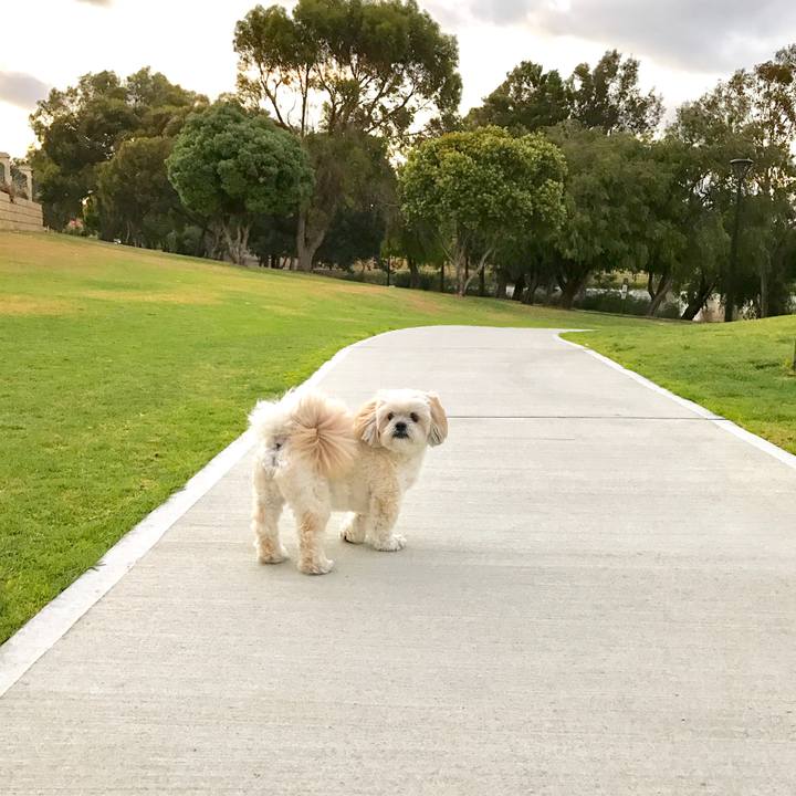 4fa52c2e 9c9a 48f3 893f 9465ebb9d992