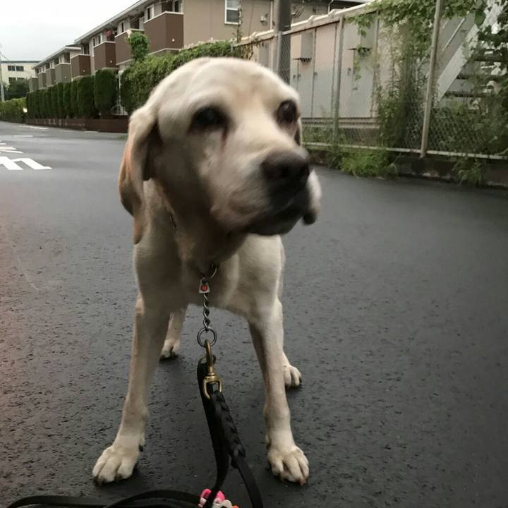 4fa56490 643a 4f32 afae c3a2f5490f40