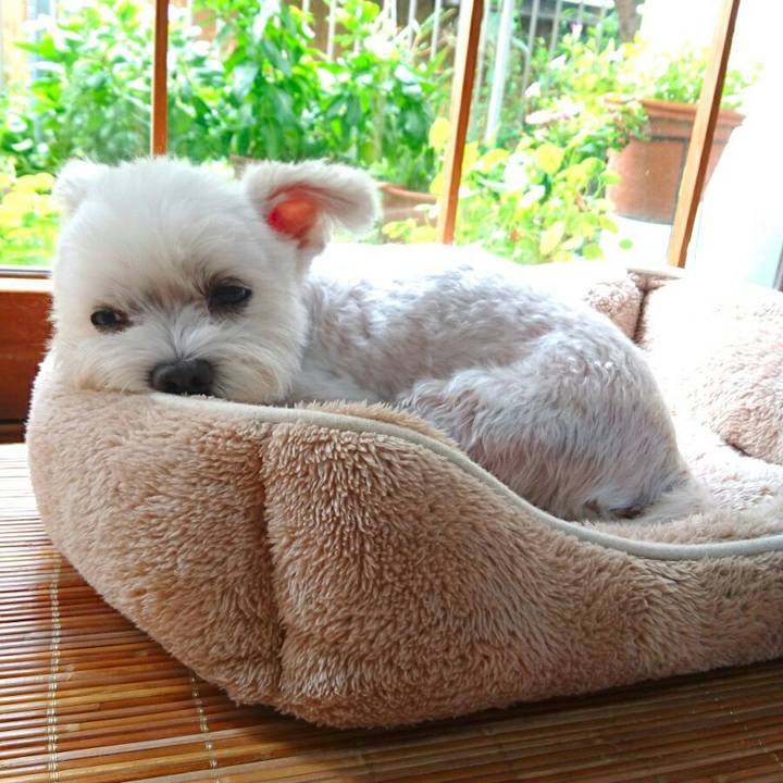 4fa5d9d0 4dff 4baf 94b4 450af66bfc17