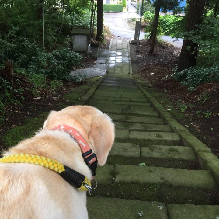 4fa60273 4480 4b13 a834 c232ce7beb9f