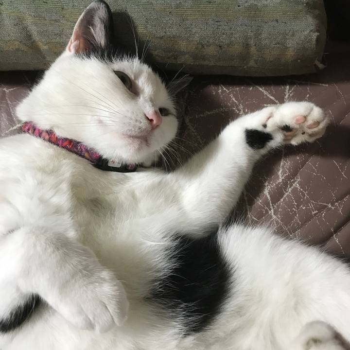 4fa644bb 7773 4253 b69d c8088a6e245d