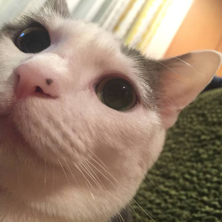 4fa671c7 f763 45ad 9691 3d555c55b517