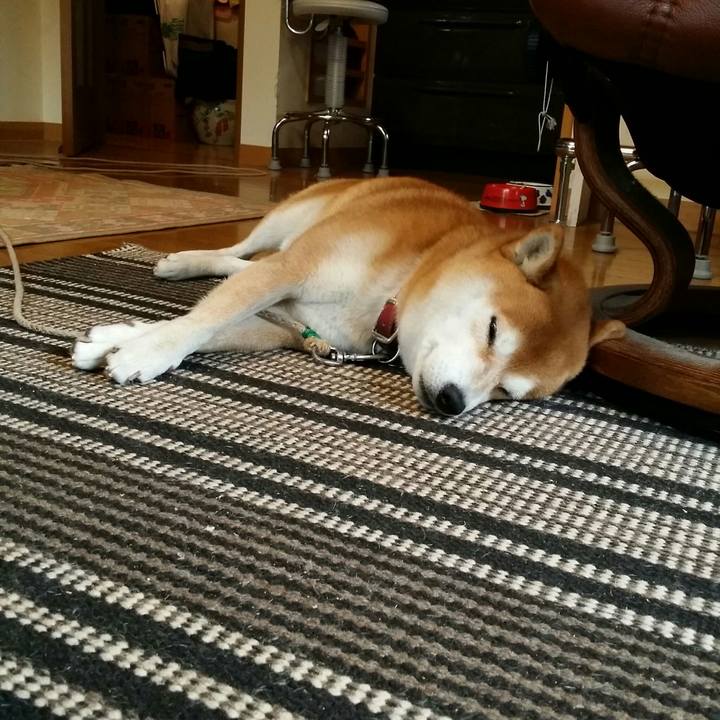 4fa6933b 2057 4a8d 8003 21fdac8181a6